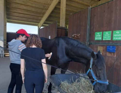 Imparare la cura e le autonomie con il cavallo