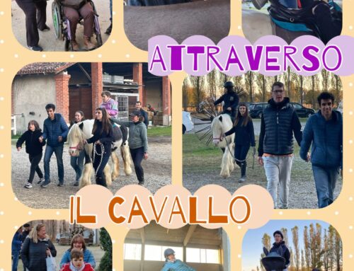 Progetto La cura attraverso il cavallo